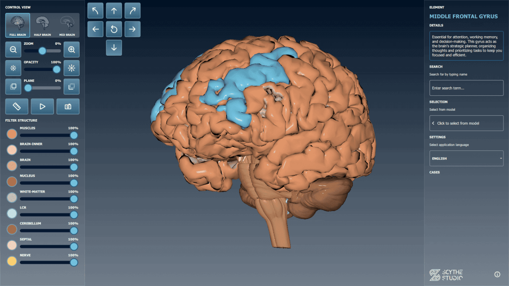 Brain Viewer - 3D