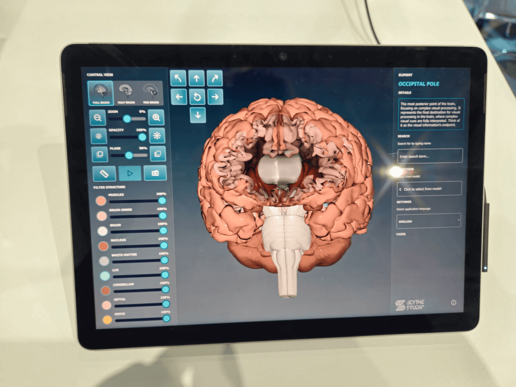 Brain Viewer - cross-platform