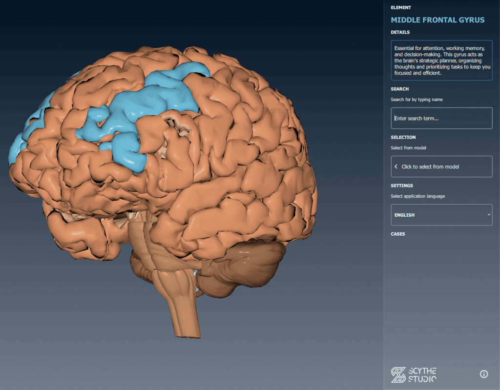 Cross-Platform Application for Previewing Parts of the Brain