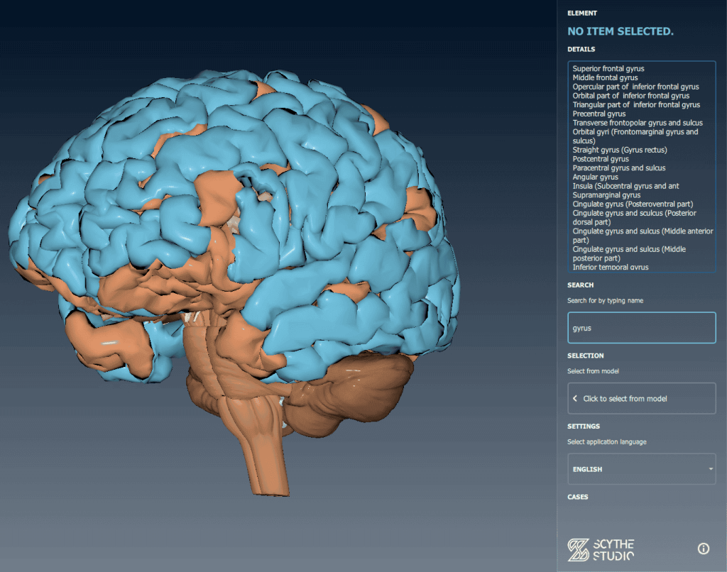 Cross-Platform Application for Previewing Parts of the Brain