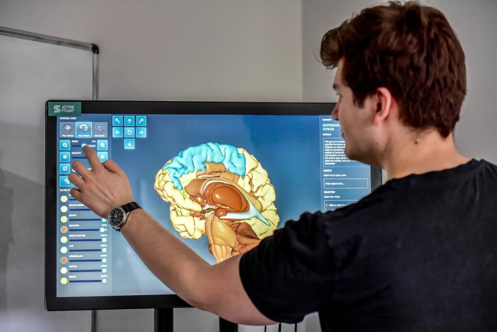 Cross-Platform Application for Previewing Parts of the Brain