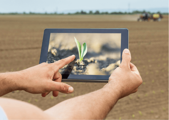 Industrial IoT in AgriTech