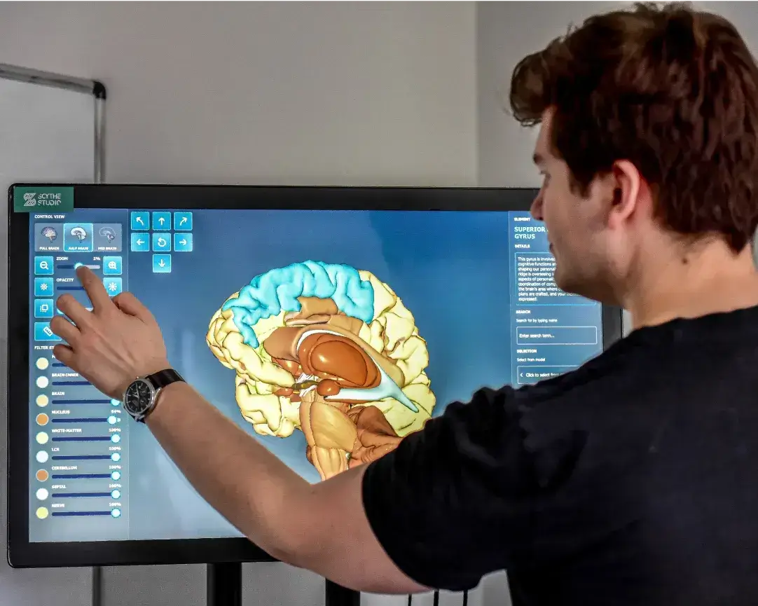 Hey its me and my brain!